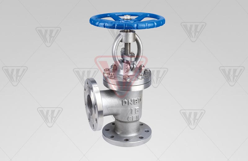 Angle type globe valve